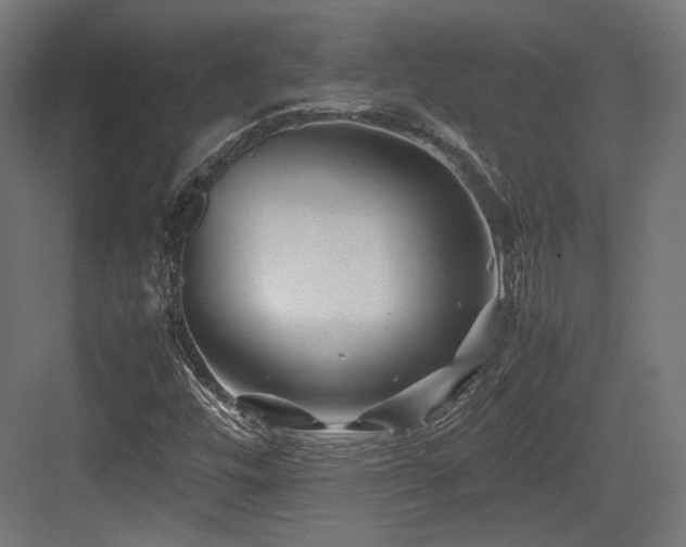 X0000083641448200702121112