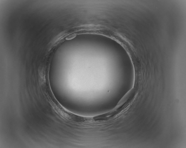 X0000083641451200702121112