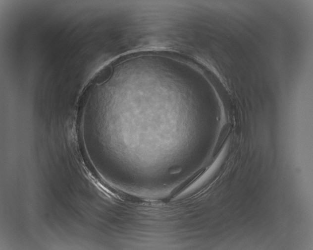 X0000083641452200702121111