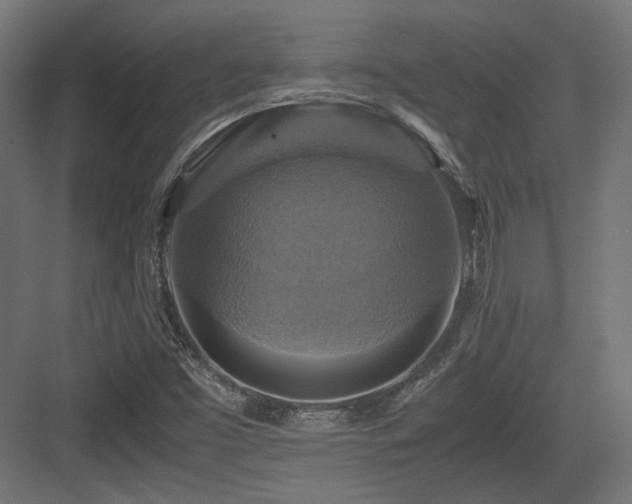 X0000083641453200702121111