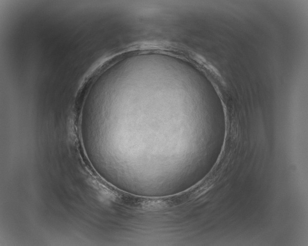 X0000083641454200702121111