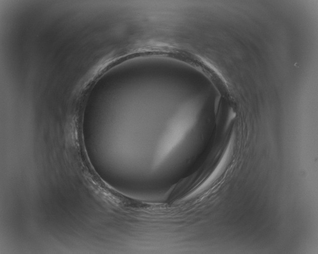 X0000083641455200702121111