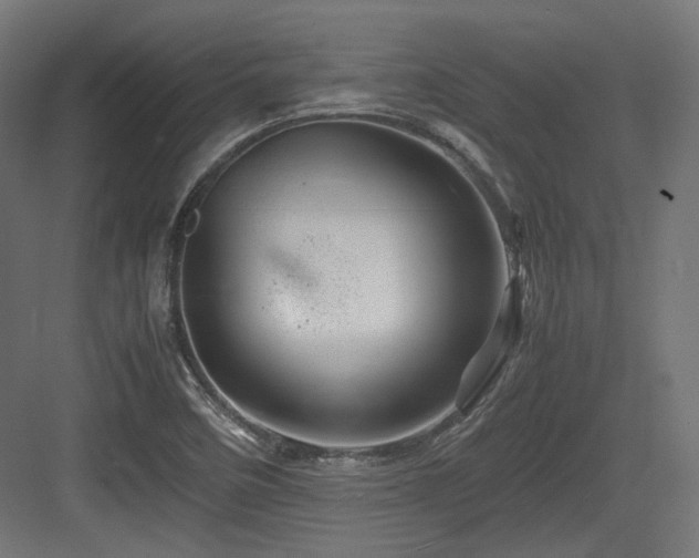 X0000083641458200702121111