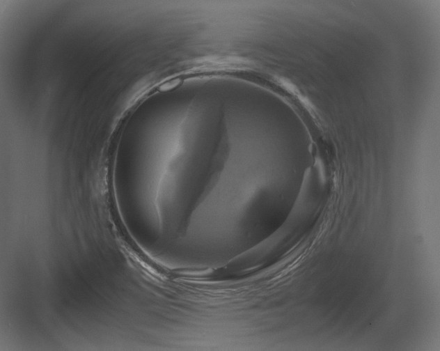 X0000083641459200702121111