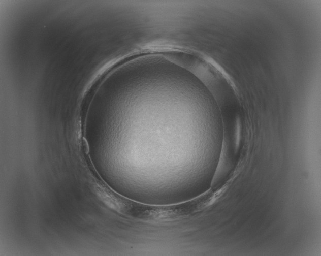 X0000083641461200702121111