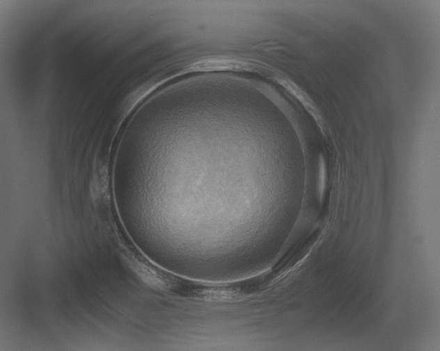 X0000083641465200702121111