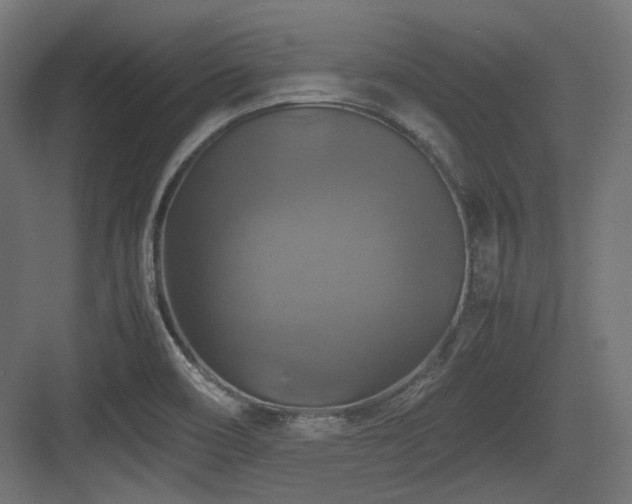 X0000083641466200702121111