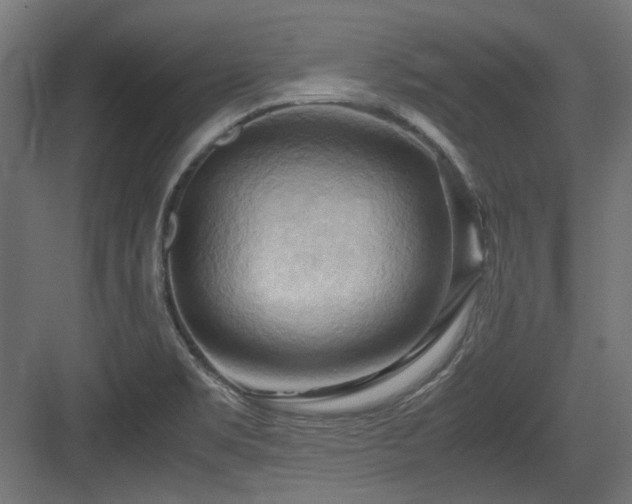X0000083641469200702121111