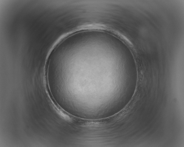 X0000083641470200702121111