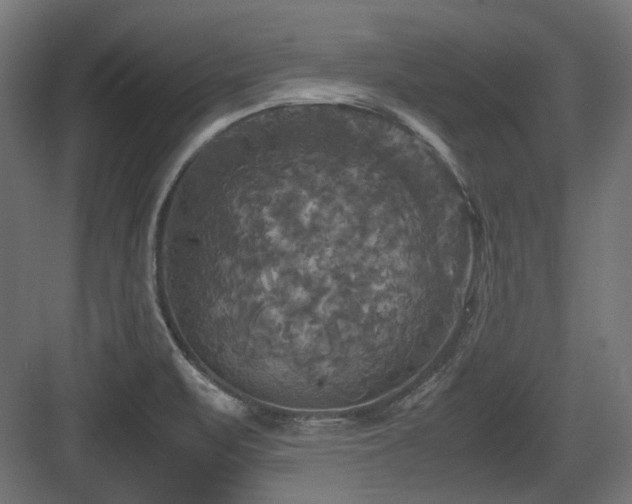 X0000083641471200702121111