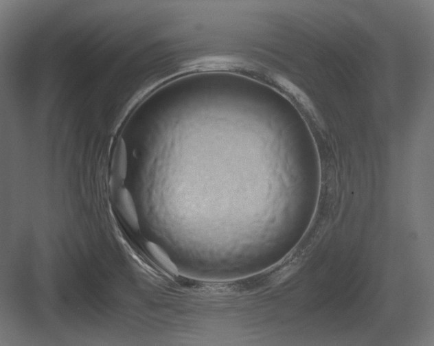 X0000083641473200702121111