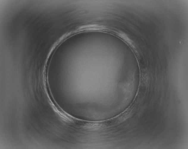X0000083641474200702121111
