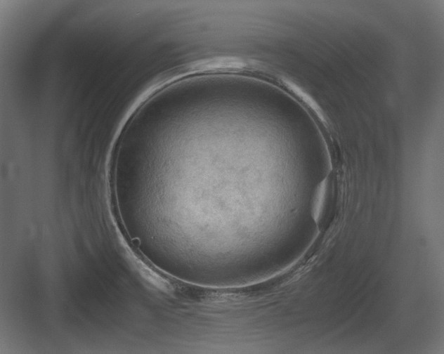 X0000083641475200702121111