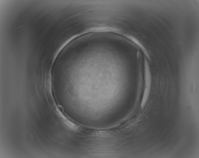 X0000083641476200702121111