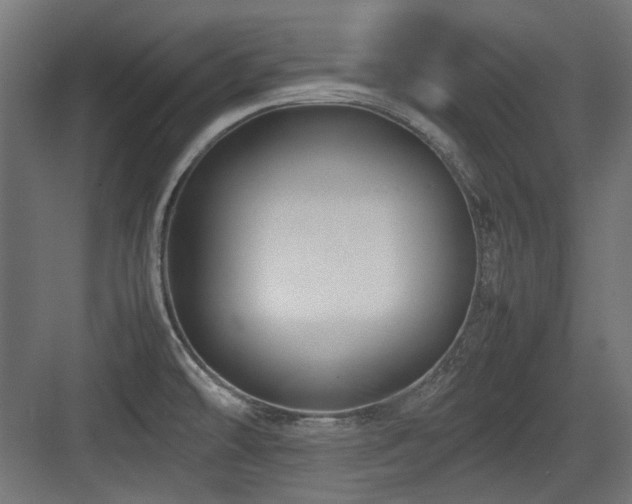 X0000083641478200702121111