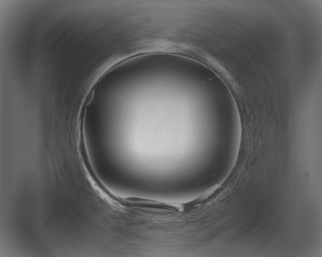 X0000083641479200702121111