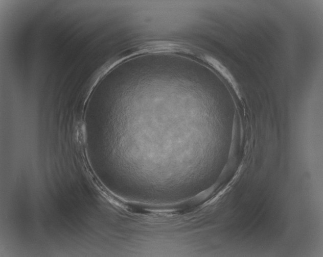 X0000083641481200702121111