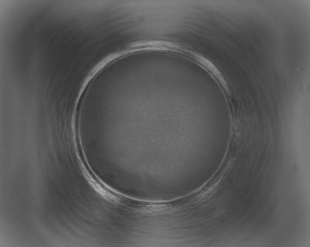 X0000083641482200702121111
