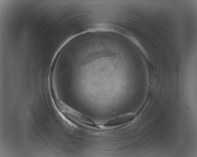 X0000083641484200702121111