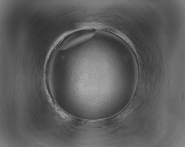 X0000083641488200702121111