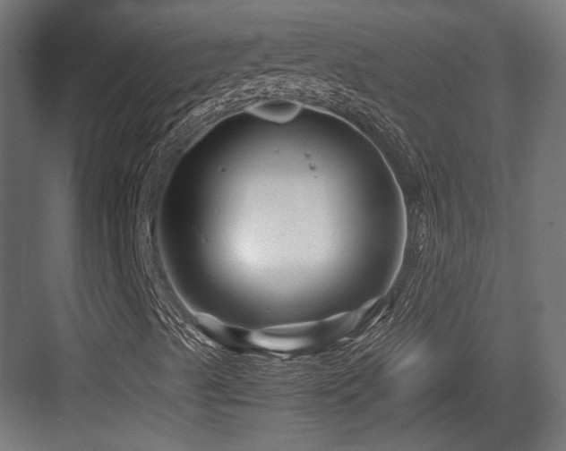 X0000083641489200702121110