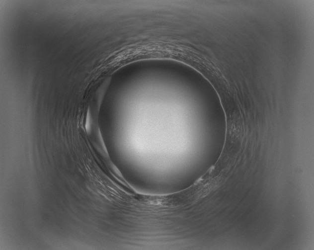 X0000083641490200702121110