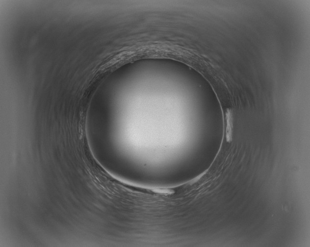 X0000083641491200702121110