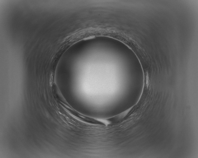 X0000083641492200702121110