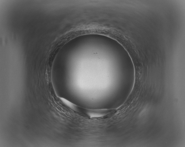 X0000083641493200702121110
