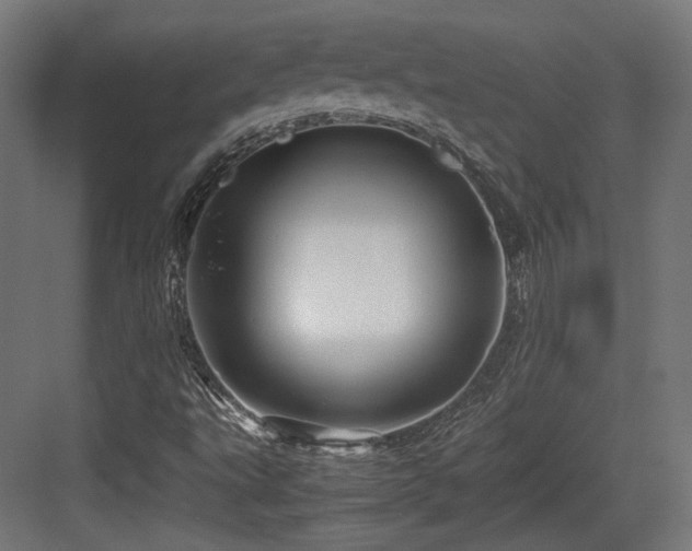 X0000083641495200702121110