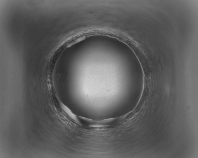 X0000083641496200702121110