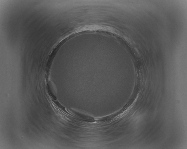 X0000083641497200702121110