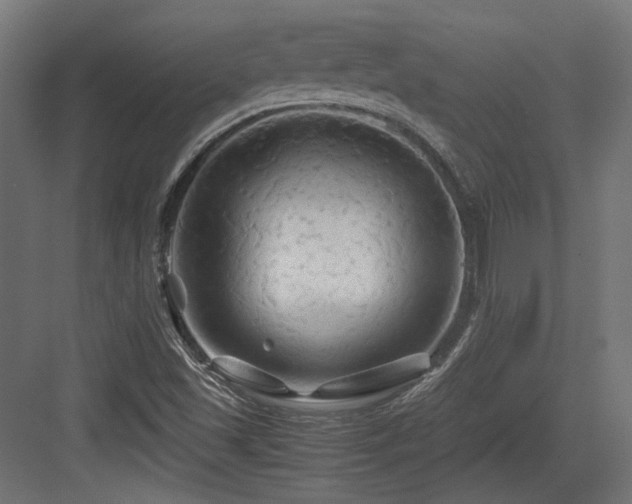 X0000083641501200702121110
