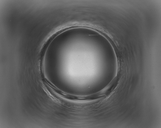 X0000083641503200702121110