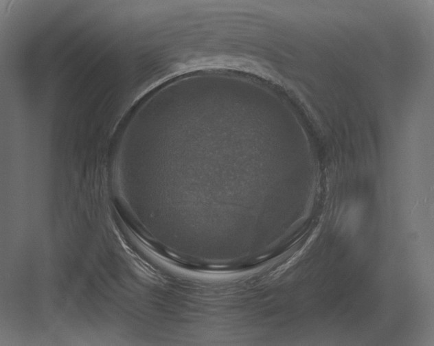 X0000083641505200702121110