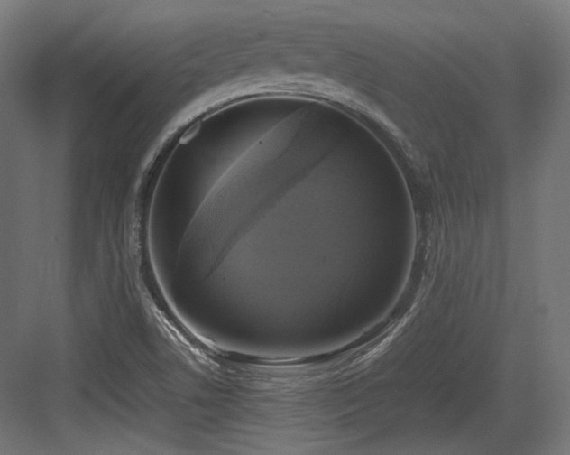 X0000083641506200702121110