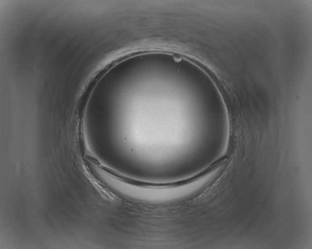 X0000083641507200702121110
