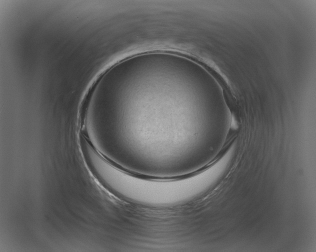 X0000083641508200702121110