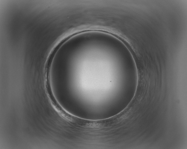 X0000083641511200702121110