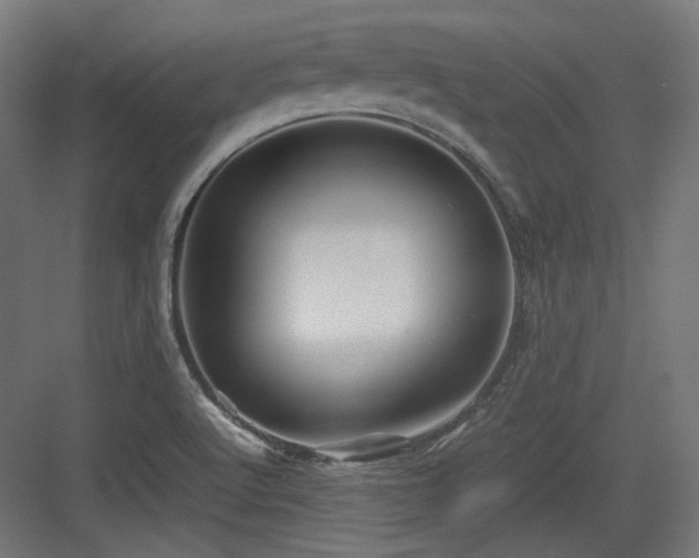 X0000083641512200702121110