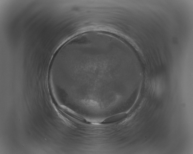 X0000083641513200702121110