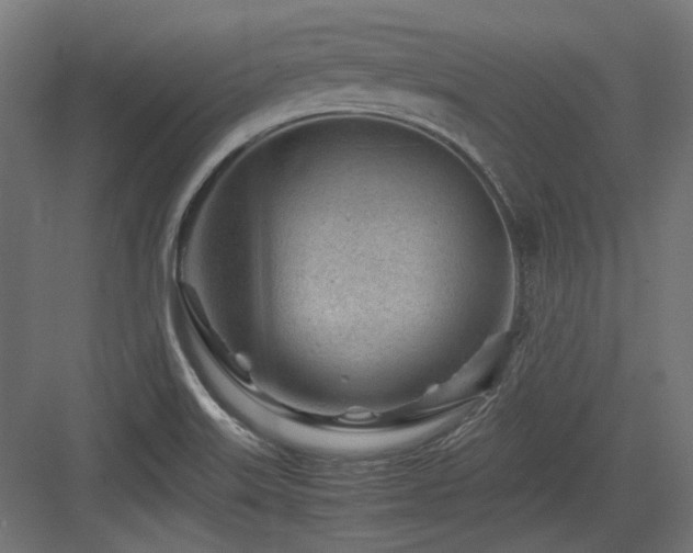 X0000083641515200702121111