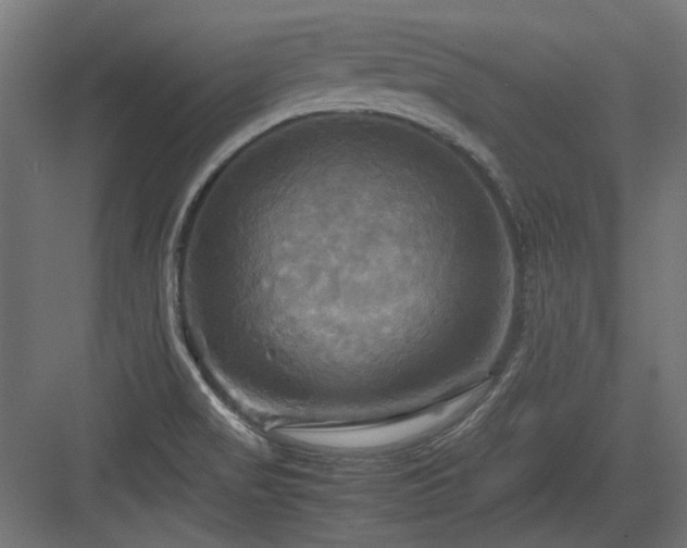 X0000083641517200702121111