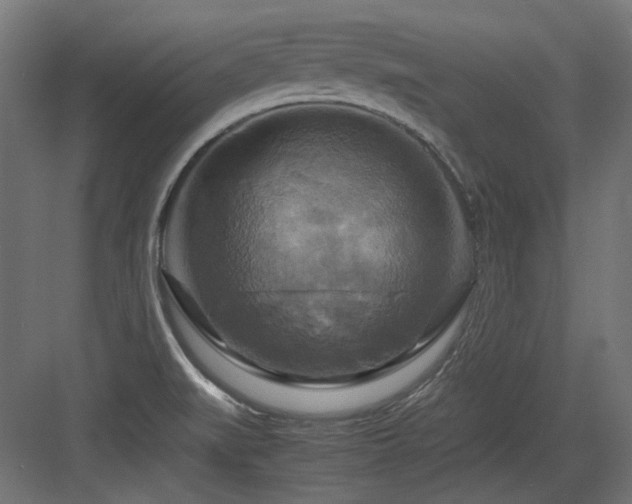 X0000083641519200702121111