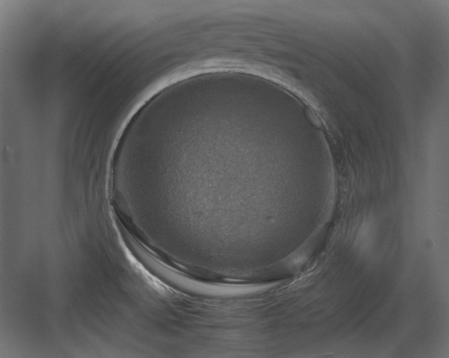X0000083641527200702121111