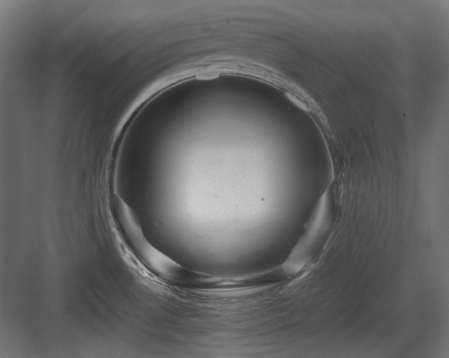 X0000083641530200702121111