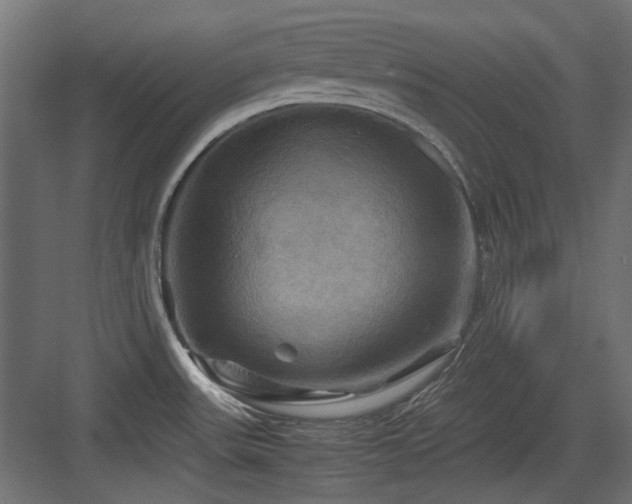 X0000083641531200702121111