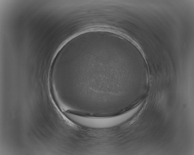 X0000083641533200702121111