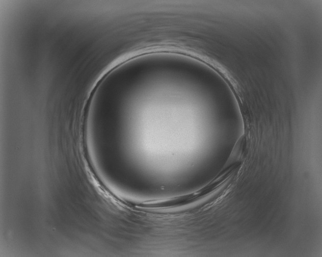 X0000083641534200702121111