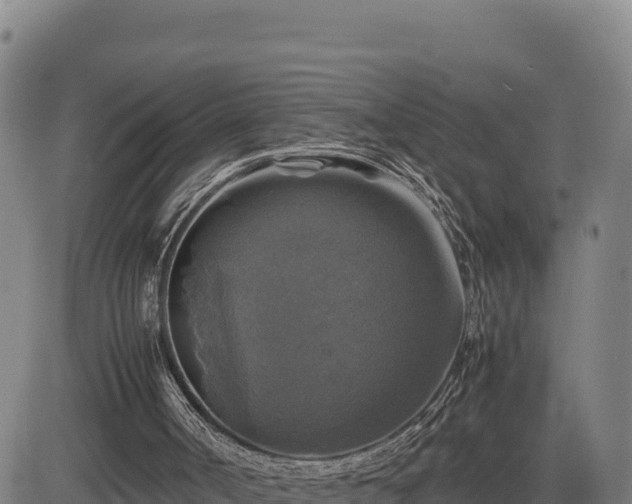 X0000083640002200702201420